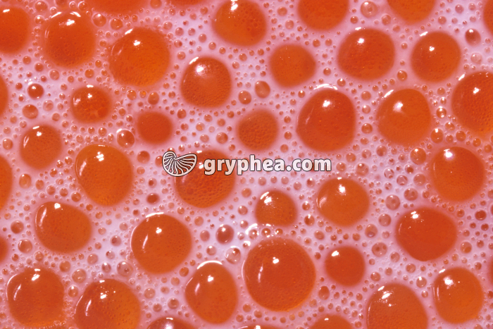 Truite - Mélange d'ovules et de laitance (spermatozoïdes) - gryphea.com